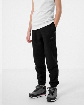 Attēls no 4f Spodnie 4F HJZ22-JSPDD002 20S