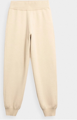 Attēls no 4f Spodnie dresowe 4FAW22TTROF546-83S