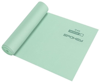 Изображение ACTIVE Pika koszowa