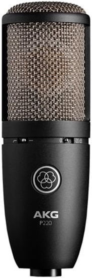 Picture of AKG P220 Microphone
