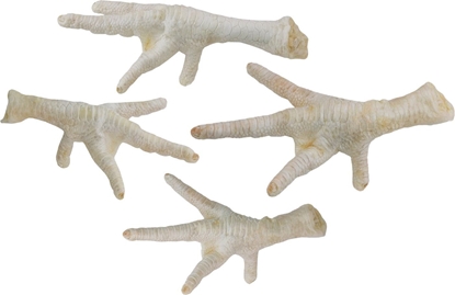 Изображение Arami APKI KURZE BIAE 100g