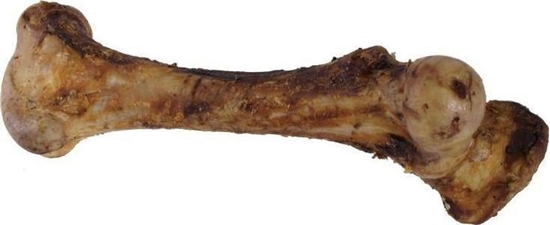 Picture of Artex ARTEX KO NATURALNA REDNIA 30cm waga ok 1.20kg szt