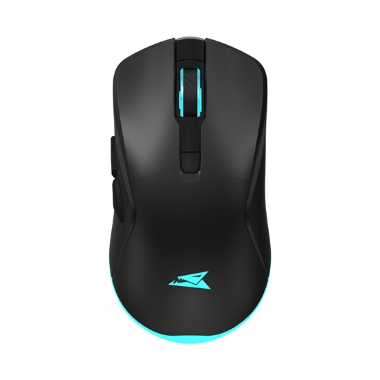 Picture of Baracuda BGM-121 Turtle Black