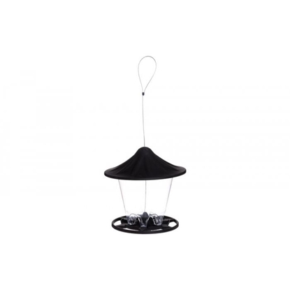 Attēls no Barotava putniem Tintti sēklām, pelēka