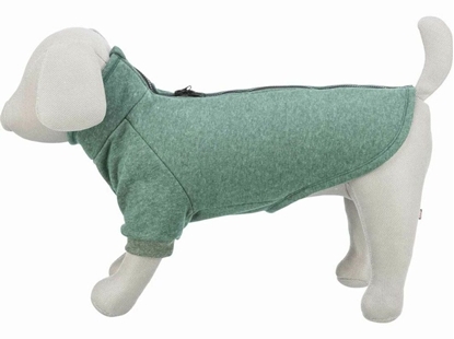 Picture of Bluza dla psa Trixie Amsterdam Ciemna ziele XS