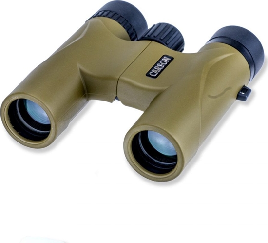 Изображение Carson Stinger 10x25