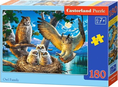 Attēls no Castorland Puzzle 180 Owl Family CASTOR