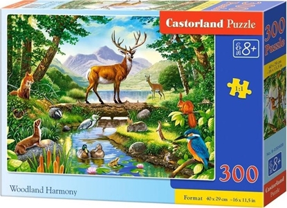 Attēls no Castorland Puzzle 300 Woodland Harmony CASTOR