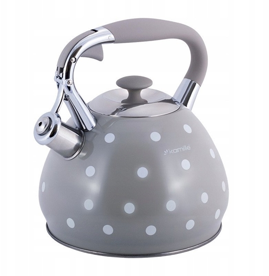 Picture of CZAJNIK NIEELEKTRYCZNY 0695GR SZARY 3 L