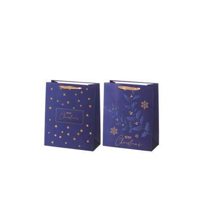 Attēls no Dāvanu maisiņš Winteria Blue Night 31x12x12 cm  2-veidi