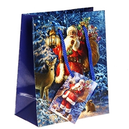 Picture of Dāvanu maisiņš Ziemassvētku 11x6x13,5cm