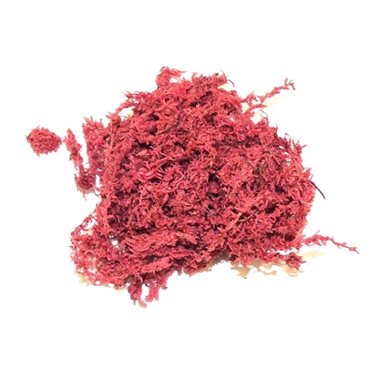 Picture of Dekors Sūnas krāsotas sarkanas