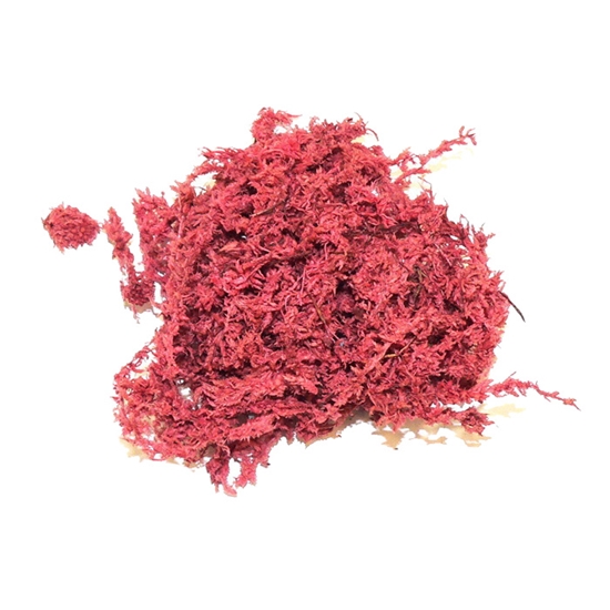 Picture of Dekors Sūnas krāsotas sarkanas