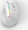 Picture of Delux M618C RGB Wireless Mouse