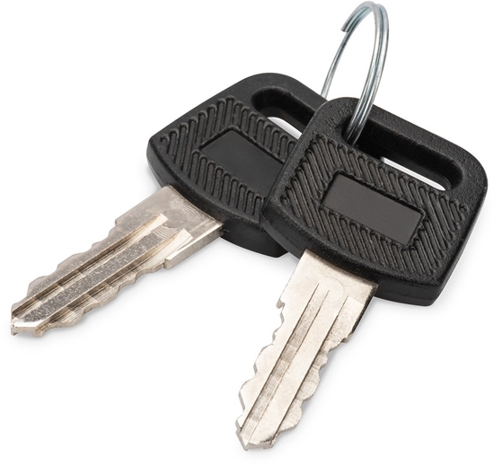 Изображение Digitus Key for wall-mounted enclosures Dynamic series, SOHO 10\" & 19\" series, charging cabinets