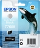 Picture of Epson ink cartridge light light black T 7609