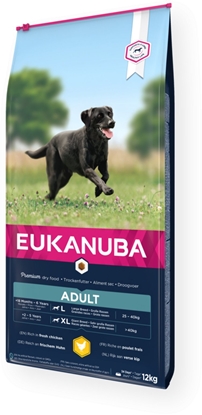 Attēls no Eukanuba Euk Adult Large Breed 12 kg