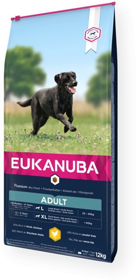 Picture of Eukanuba Euk Adult Large Breed 12 kg