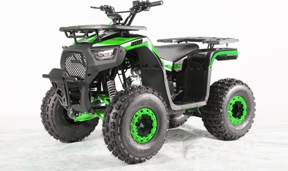 Attēls no 1DEA.me Pojazd Quad Spalinowy 120CC DISCOVERER Zielony