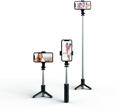 Picture of 4smarts 541636 statyw Smartfon