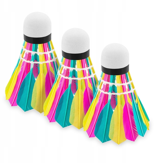 Picture of ACTIVE Pika koszowa