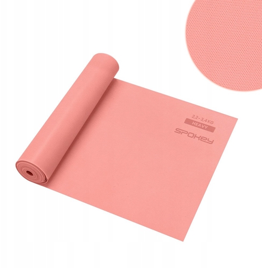 Picture of ACTIVE Pika koszowa