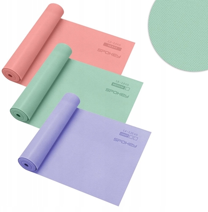 Изображение ACTIVE Pika koszowa