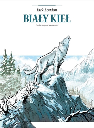 Picture of Adaptacje literatury. Biay Kie