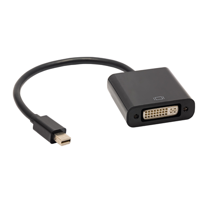 Picture of Adapter AV Akyga DisplayPort Mini - DVI-I czarny (AK-AD-37)