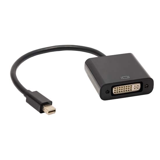 Picture of Adapter AV Akyga DisplayPort Mini - DVI-I czarny (AK-AD-37)