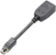 Picture of Adapter AV PNY DisplayPort Mini - DisplayPort czarny (QSP-MINIDP/DPV2)