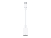 Picture of Adapteris Apple USB-C - USB-A
