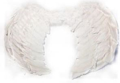 Изображение Adar Skrzyda anioa due