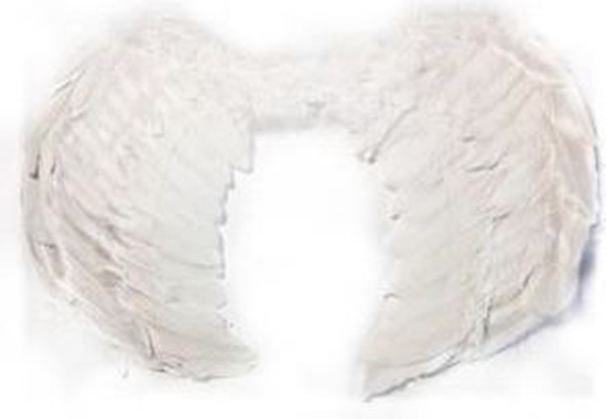 Picture of Adar Skrzyda anioa due