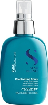 Attēls no Alfaparf Alfaparf Curls Reactivating Spray rewitalizujcy wosy krcone i falowane 125ml