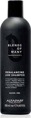 Attēls no Alfaparf ampnas nuo pleiskan riebiems plaukams vyrams Alfaparf Milano Blends Of Many 250 ml