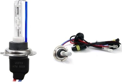 Attēls no AMiO arówka ksenonowa, arnik xenon H7M 8000K metal