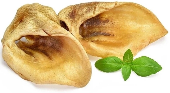 Picture of ARAMI C UCHO DZIKA 2szt.