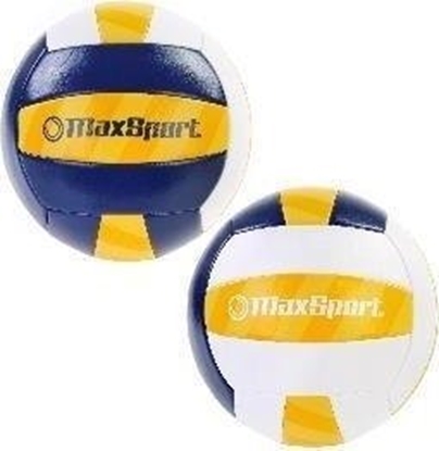 Изображение Artyk Pika siatkowa Max Sport niebiesko-biao-óta