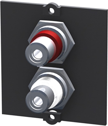 Изображение Bachmann Frame 1xCinch Stereo BAM-1