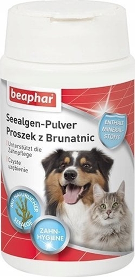 Picture of Beaphar BEAPHAR Dental Proszek z brunatnic do jamy ustnej - 75 g