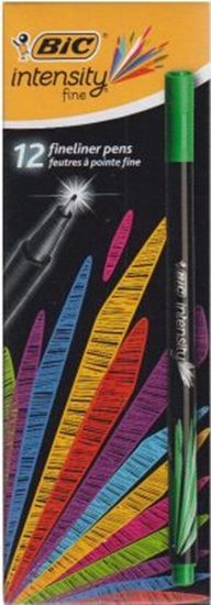 Изображение Bic Cienkopis Intenstity fine