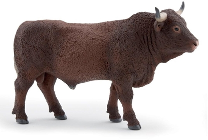 Attēls no Byk Salers