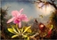 Picture of Bluebird Puzzle Puzzle 1000 Orchidea Cattleya i trzy kolibry