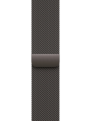 Изображение Apple | 42mm Slate Milanese Loop