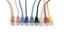 Picture of Cablexpert | Patch cord | PP12-0.5M/BK | Black RJ45 Male | RJ45 Male