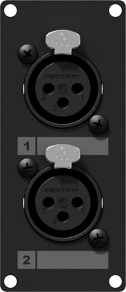 Picture of Caymon Modu CASY ze zczami 2x XLR eskim (CASY125/B)