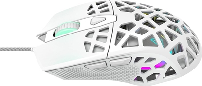 Attēls no CANYON CND-SGM20W