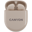 Picture of CANYON CNS-TWS6BE