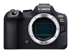 Picture of Canon EOS R6 Mark II